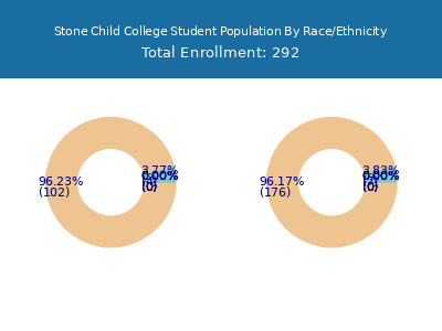 Stone Child College 2025 Student Population by Gender and Race chart