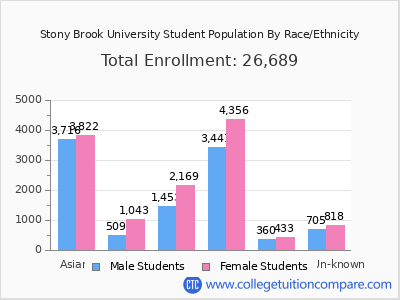 Stony Brook University 2025 Student Population by Gender and Race chart