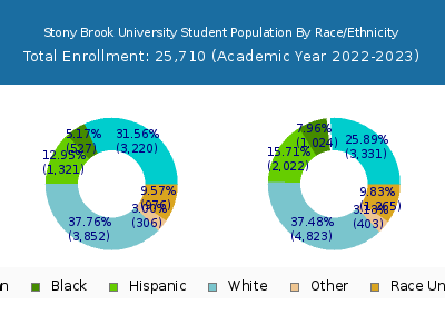 Stony Brook University 2023 Student Population by Gender and Race chart