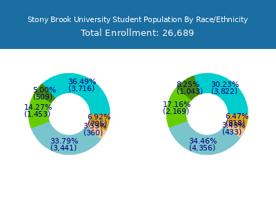 Stony Brook University 2025 Student Population by Gender and Race chart