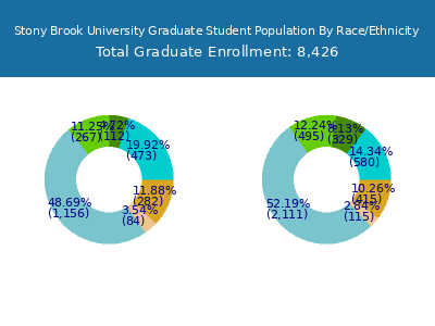 Stony Brook University 2025 Graduate Enrollment by Gender and Race chart