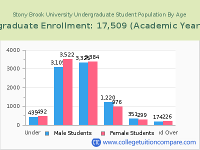 Stony Brook University 2023 Undergraduate Enrollment by Age chart
