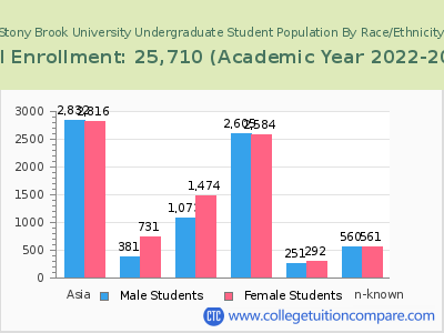 Stony Brook University 2023 Undergraduate Enrollment by Gender and Race chart
