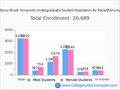 Stony Brook University 2025 Undergraduate Enrollment by Gender and Race chart