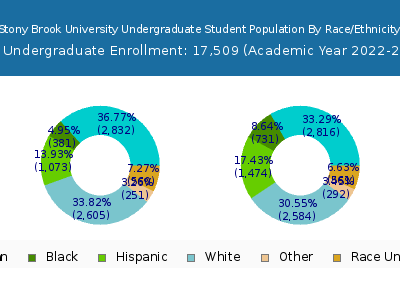 Stony Brook University 2023 Undergraduate Enrollment by Gender and Race chart