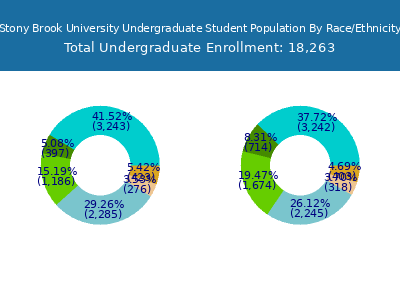 Stony Brook University 2025 Undergraduate Enrollment by Gender and Race chart