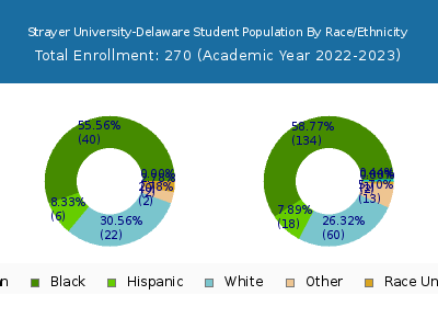 Strayer University-Delaware 2023 Student Population by Gender and Race chart