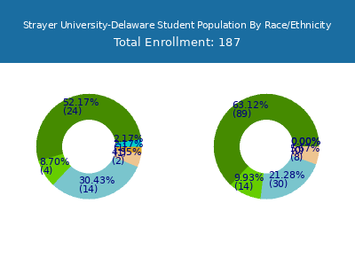 Strayer University-Delaware 2025 Student Population by Gender and Race chart