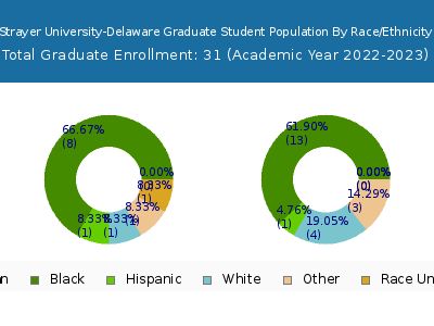 Strayer University-Delaware 2023 Graduate Enrollment by Gender and Race chart