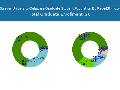 Strayer University-Delaware 2025 Graduate Enrollment by Gender and Race chart
