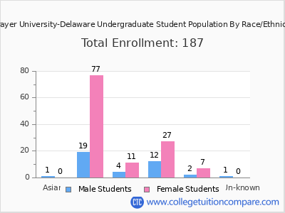 Strayer University-Delaware 2025 Undergraduate Enrollment by Gender and Race chart