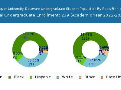 Strayer University-Delaware 2023 Undergraduate Enrollment by Gender and Race chart