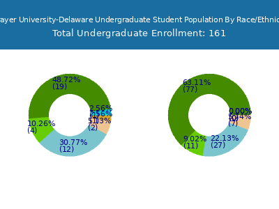 Strayer University-Delaware 2025 Undergraduate Enrollment by Gender and Race chart