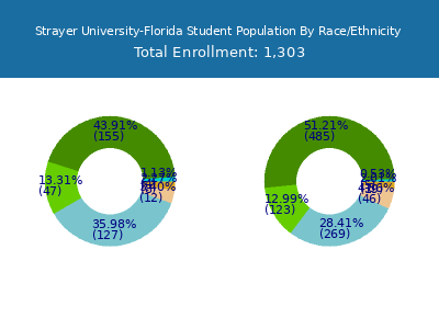 Strayer University-Florida 2025 Student Population by Gender and Race chart