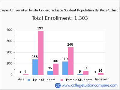 Strayer University-Florida 2025 Undergraduate Enrollment by Gender and Race chart