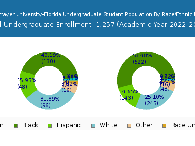 Strayer University-Florida 2023 Undergraduate Enrollment by Gender and Race chart