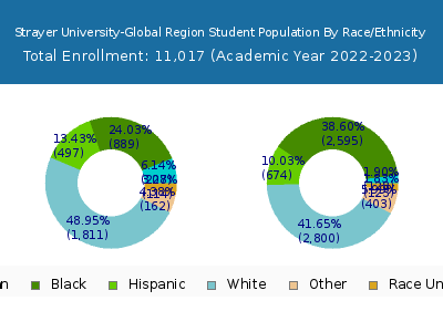 Strayer University-Global Region 2023 Student Population by Gender and Race chart