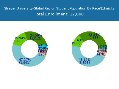 Strayer University-Global Region 2025 Student Population by Gender and Race chart