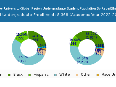 Strayer University-Global Region 2023 Undergraduate Enrollment by Gender and Race chart