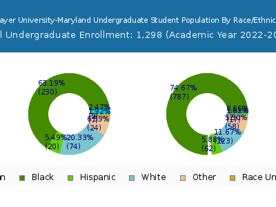 Strayer University-Maryland 2023 Undergraduate Enrollment by Gender and Race chart