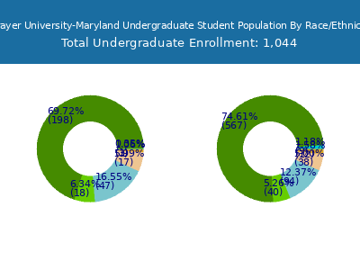 Strayer University-Maryland 2025 Undergraduate Enrollment by Gender and Race chart