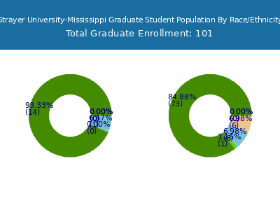 Strayer University-Mississippi 2025 Graduate Enrollment by Gender and Race chart