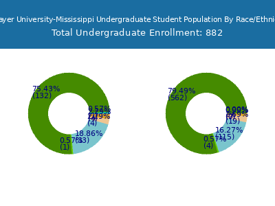 Strayer University-Mississippi 2025 Undergraduate Enrollment by Gender and Race chart