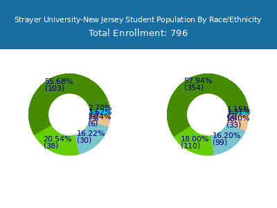 Strayer University-New Jersey 2025 Student Population by Gender and Race chart