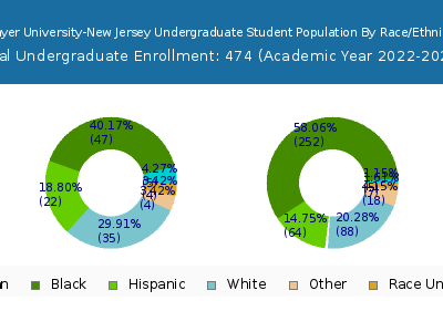 Strayer University-New Jersey 2023 Undergraduate Enrollment by Gender and Race chart