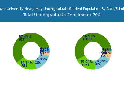 Strayer University-New Jersey 2025 Undergraduate Enrollment by Gender and Race chart