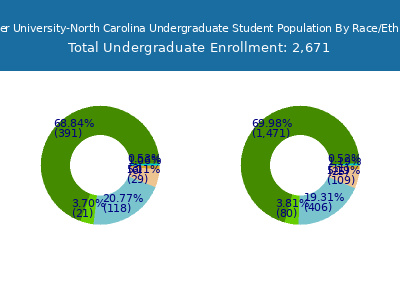 Strayer University-North Carolina 2025 Undergraduate Enrollment by Gender and Race chart