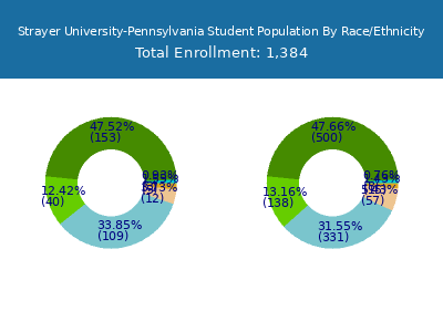 Strayer University-Pennsylvania 2025 Student Population by Gender and Race chart
