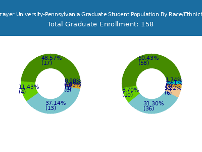 Strayer University-Pennsylvania 2025 Graduate Enrollment by Gender and Race chart