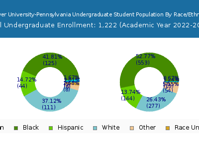 Strayer University-Pennsylvania 2023 Undergraduate Enrollment by Gender and Race chart