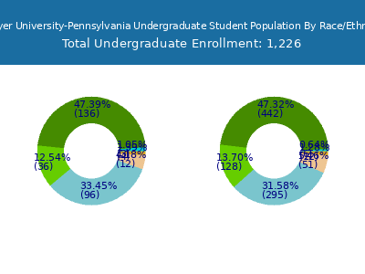 Strayer University-Pennsylvania 2025 Undergraduate Enrollment by Gender and Race chart