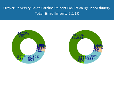 Strayer University-South Carolina 2025 Student Population by Gender and Race chart