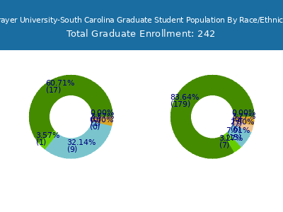 Strayer University-South Carolina 2025 Graduate Enrollment by Gender and Race chart