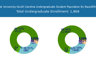 Strayer University-South Carolina 2025 Undergraduate Enrollment by Gender and Race chart