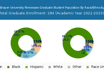 Strayer University-Tennessee 2023 Graduate Enrollment by Gender and Race chart