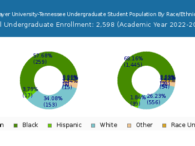 Strayer University-Tennessee 2023 Undergraduate Enrollment by Gender and Race chart