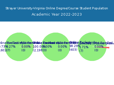 Strayer University-Virginia 2023 Online Student Population chart