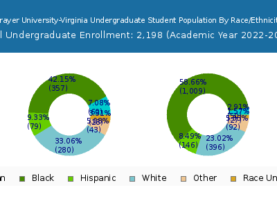 Strayer University-Virginia 2023 Undergraduate Enrollment by Gender and Race chart