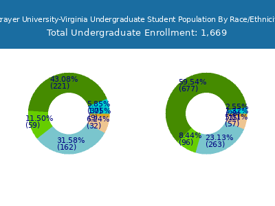 Strayer University-Virginia 2025 Undergraduate Enrollment by Gender and Race chart
