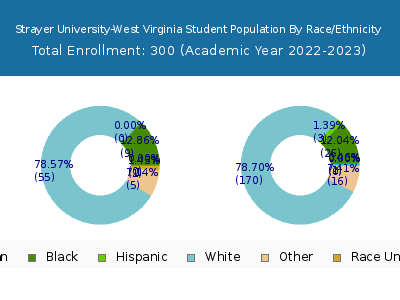 Strayer University-West Virginia 2023 Student Population by Gender and Race chart