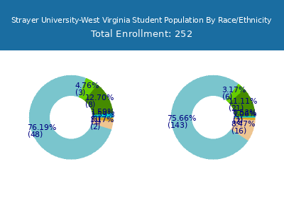Strayer University-West Virginia 2025 Student Population by Gender and Race chart