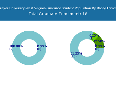 Strayer University-West Virginia 2025 Graduate Enrollment by Gender and Race chart