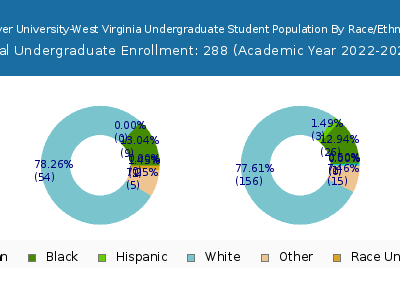 Strayer University-West Virginia 2023 Undergraduate Enrollment by Gender and Race chart