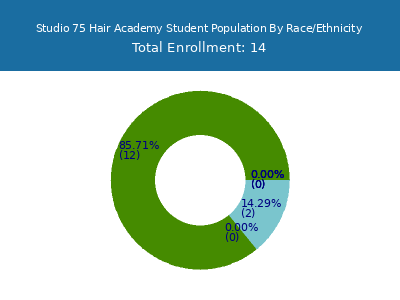 Studio 75 Hair Academy 2025 Student Population by Gender and Race chart