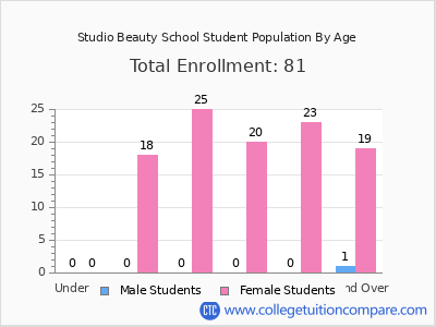 Studio Beauty School 2024 Student Population by Age chart