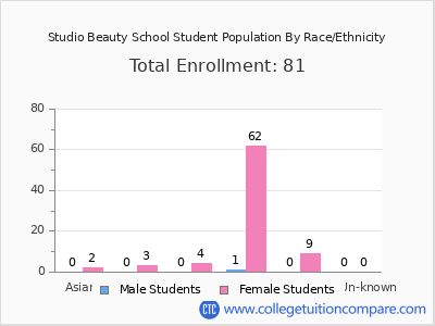 Studio Beauty School 2025 Student Population by Gender and Race chart